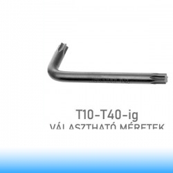 Expert (by FACOM) Torx imbuszkulcsok T10-T40-ig