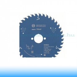 Bosch Expert Körfűrészlap 170mm